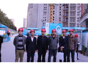 合肥壩上街環(huán)球中心A2地塊項目觀摩會